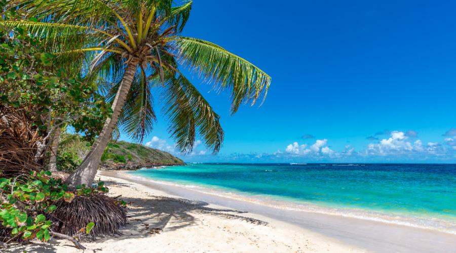 GUADELOUPE STRAND