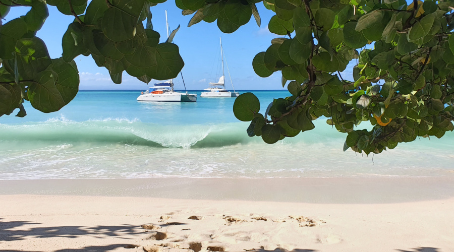 guadeloupe beach