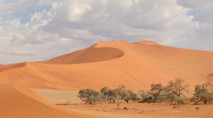 Sossusvle in Namibië