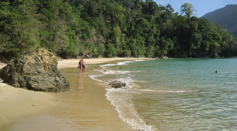 beach on Tobago Paradise