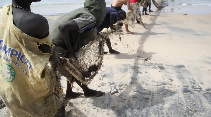 senegal