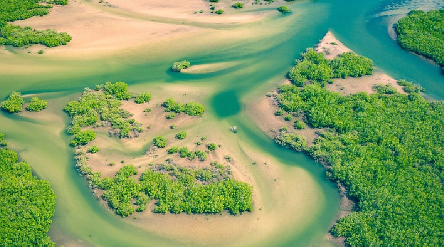 senegal