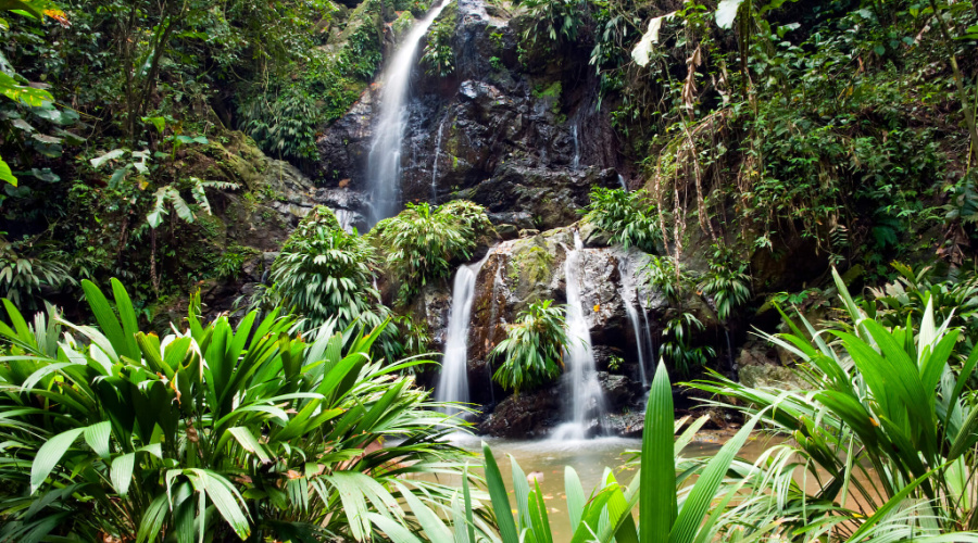 waterfall tobago